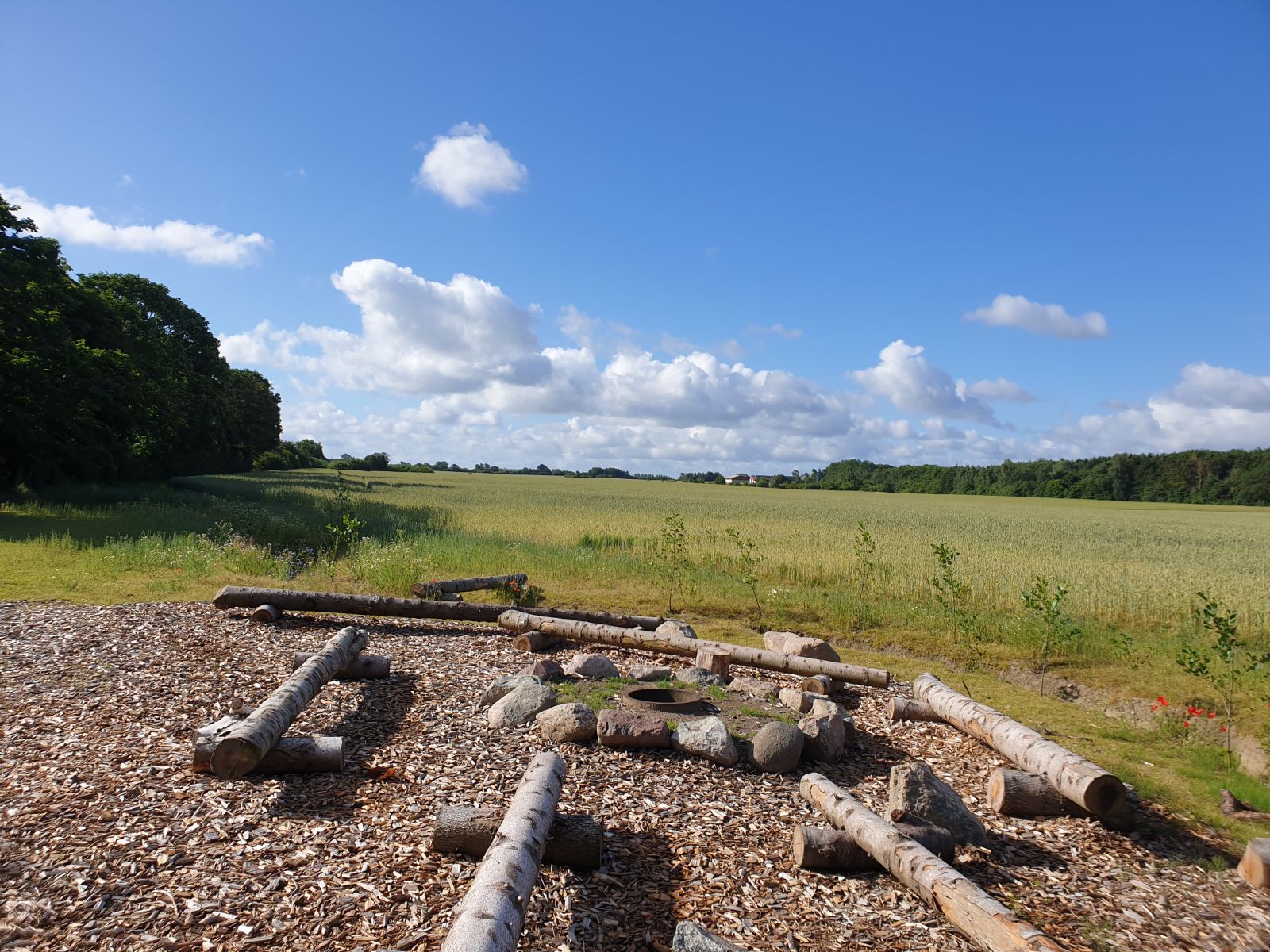 Naturplads i Bjæverskov – miniature 2