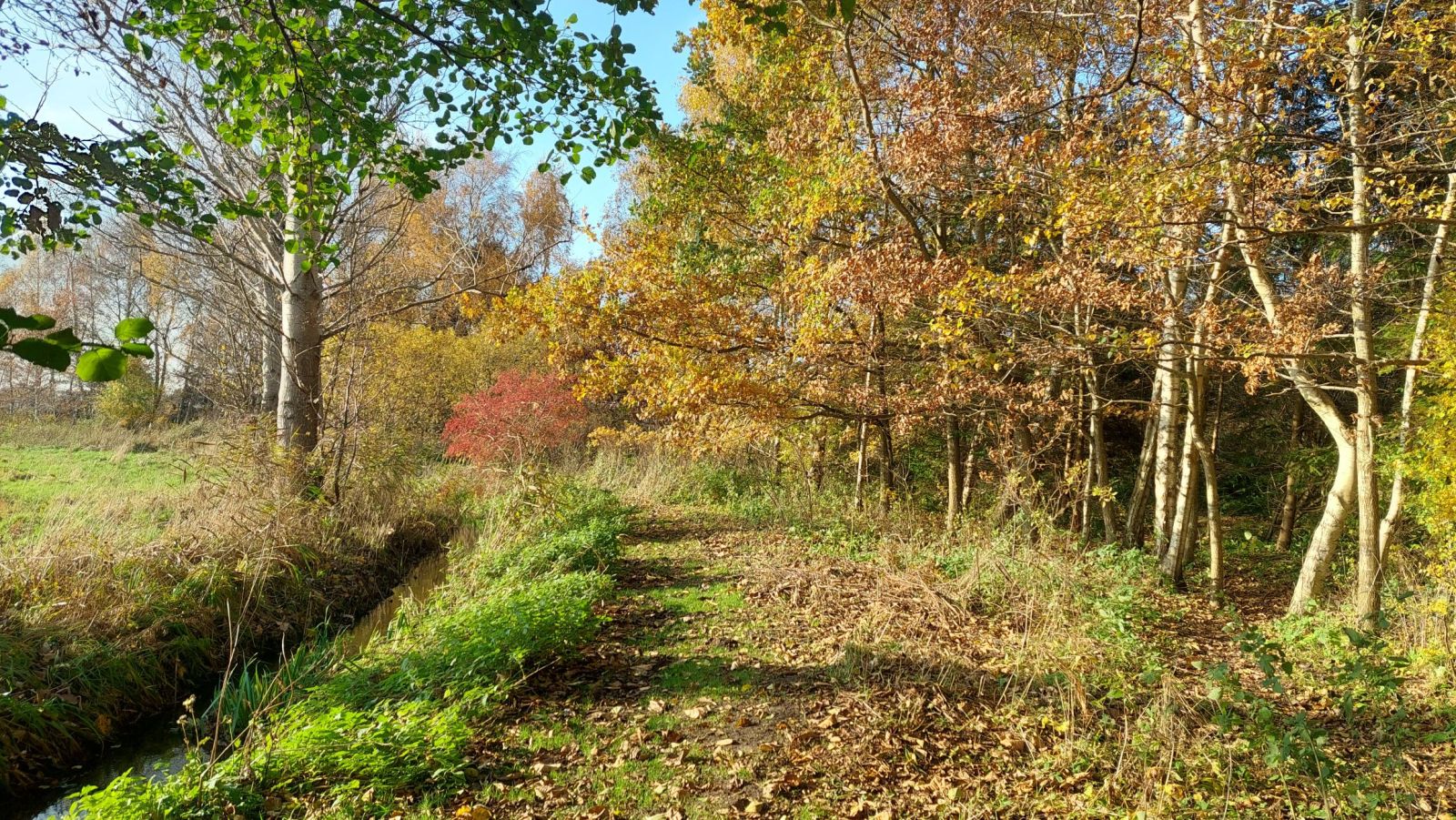klippet græssti langs Møllebækken