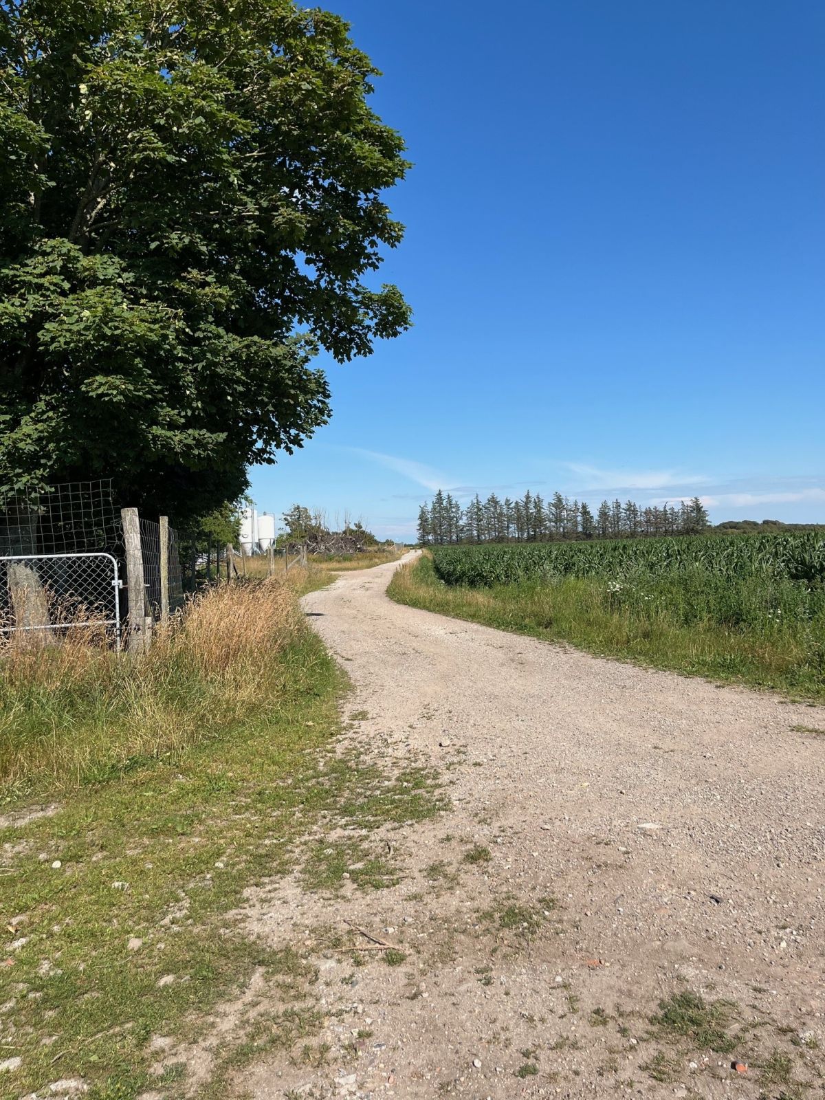 Grusvej mod Løkkensvej. 