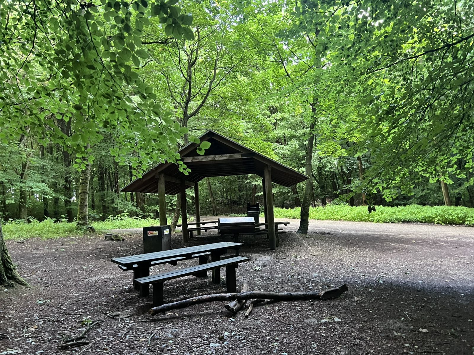 Overdækket madpakkehus i træ inde i skoven med træenes grønne grene henover. Bordebænkesæt og skraldespand placeret foran madpakkehus.