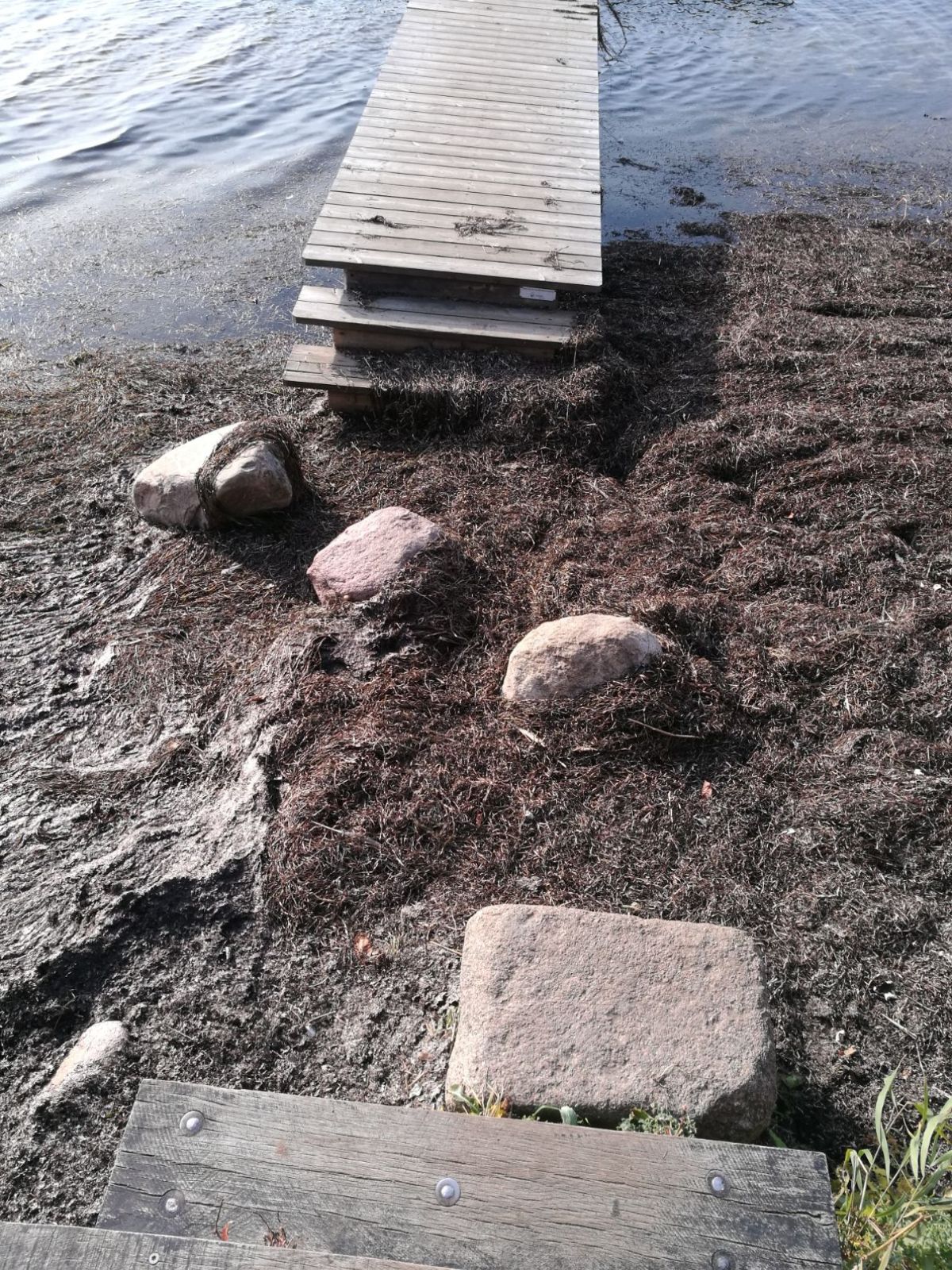 Overgang fra strand til badebro