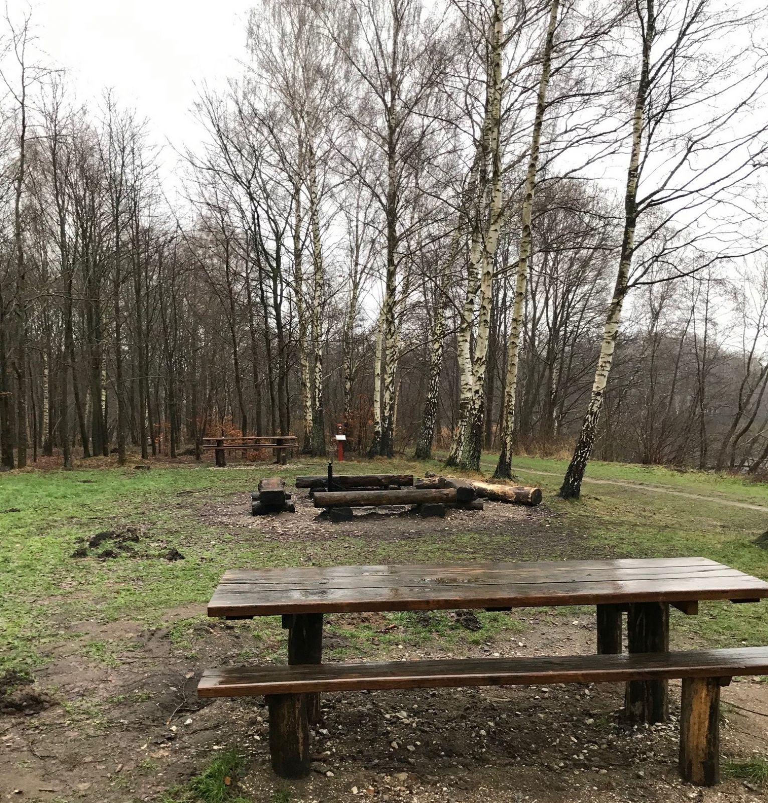 Skarven shelter – miniature 4