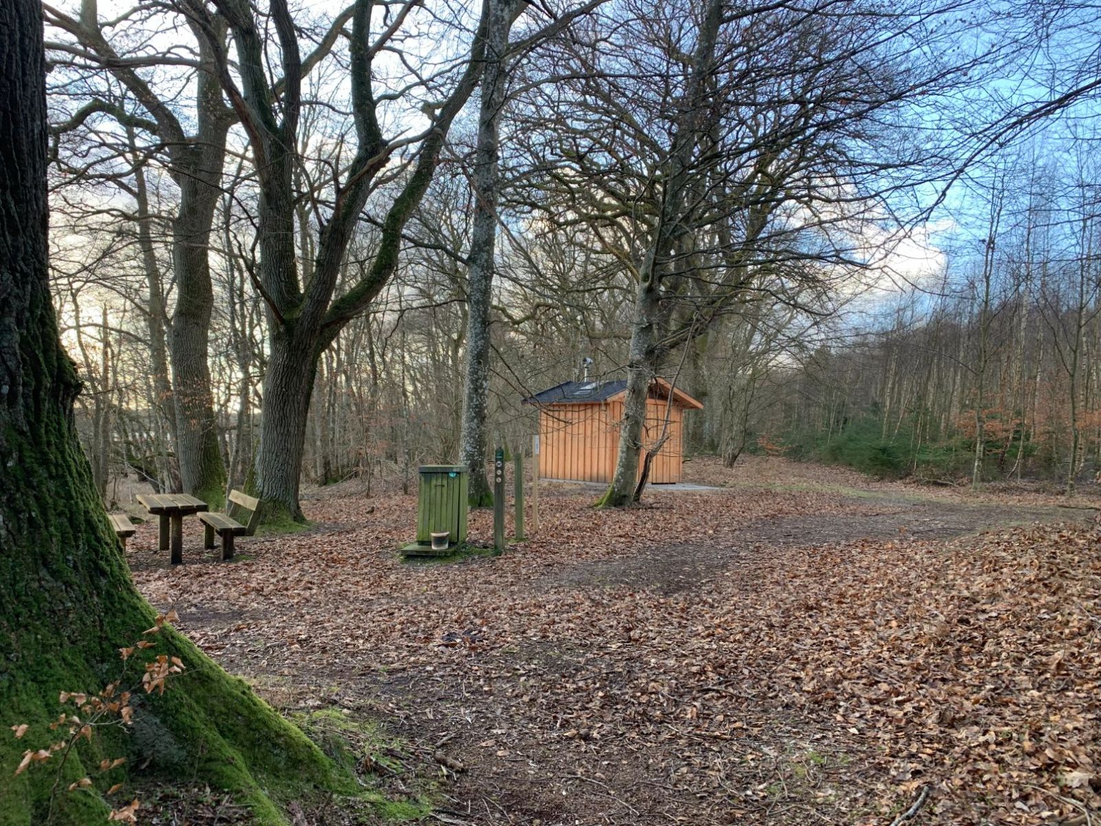Muldtoilet i Ormstrup Skov