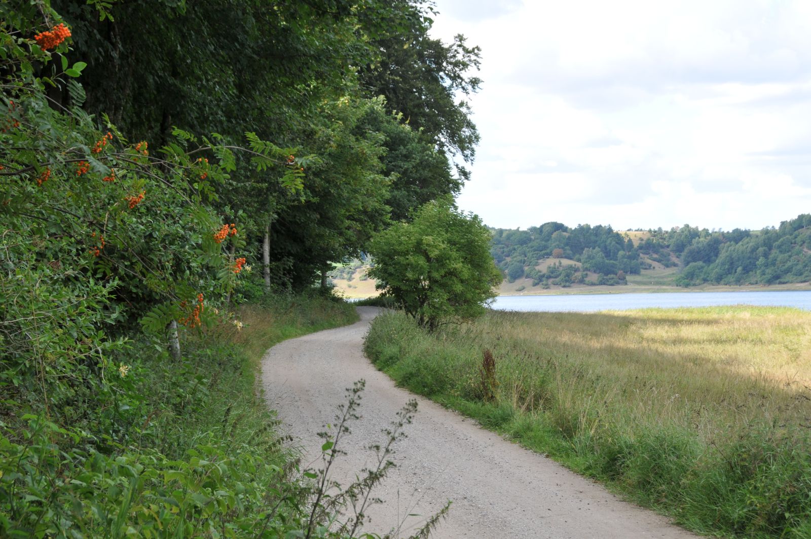 Slyngende grusvej med fjorden i baggrunden