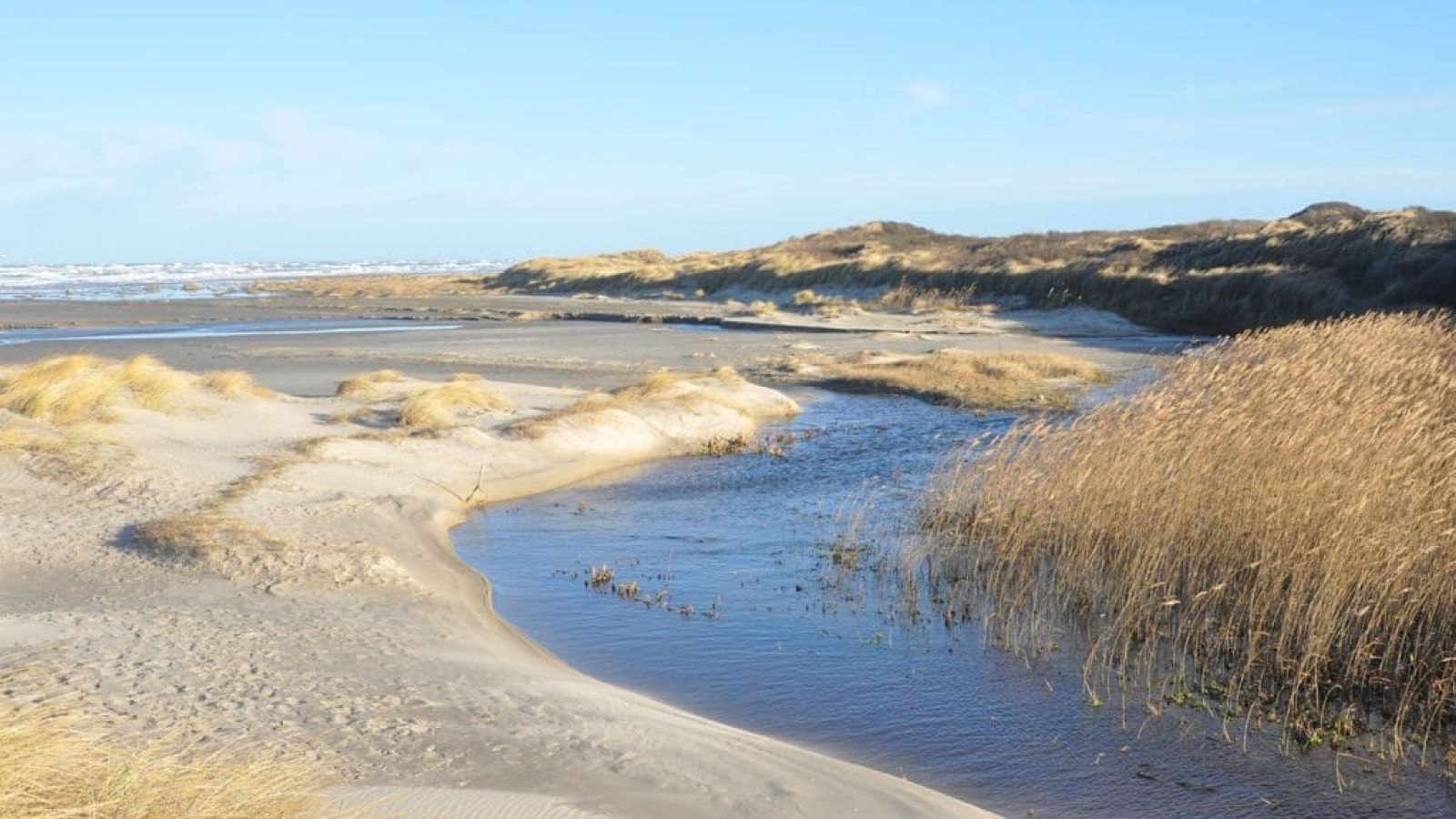 Flodbæk, strand og klitlandskab.