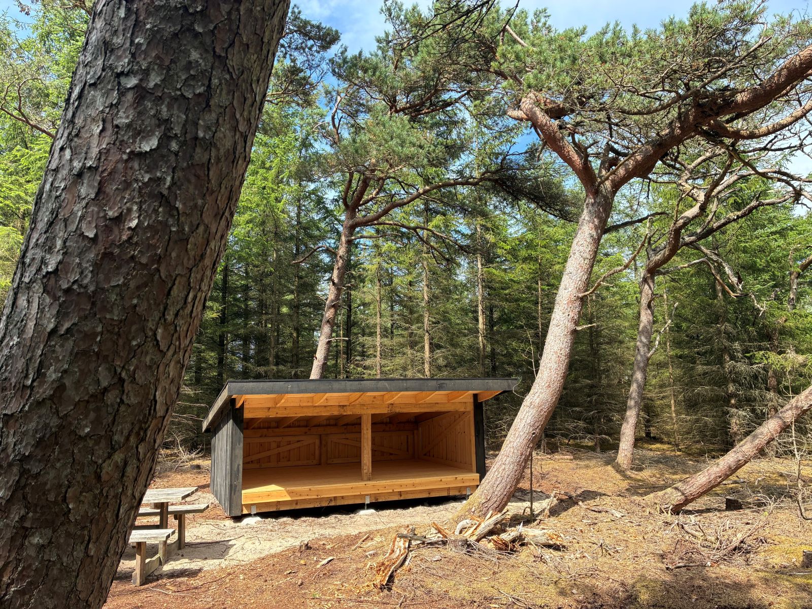 shelter