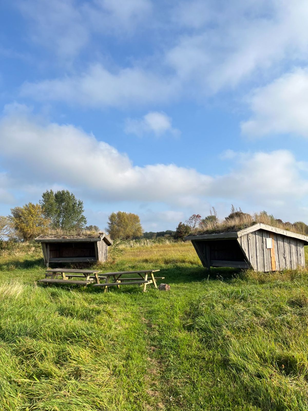 Shelterplads