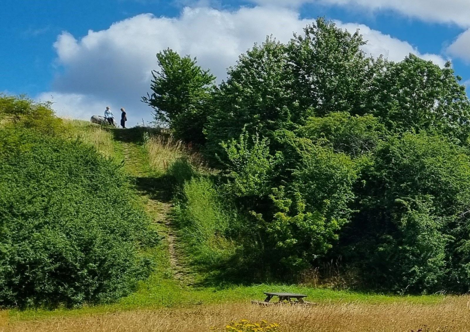 Mennesker på toppen af bjerget, der kigger ud over sommerblomster 