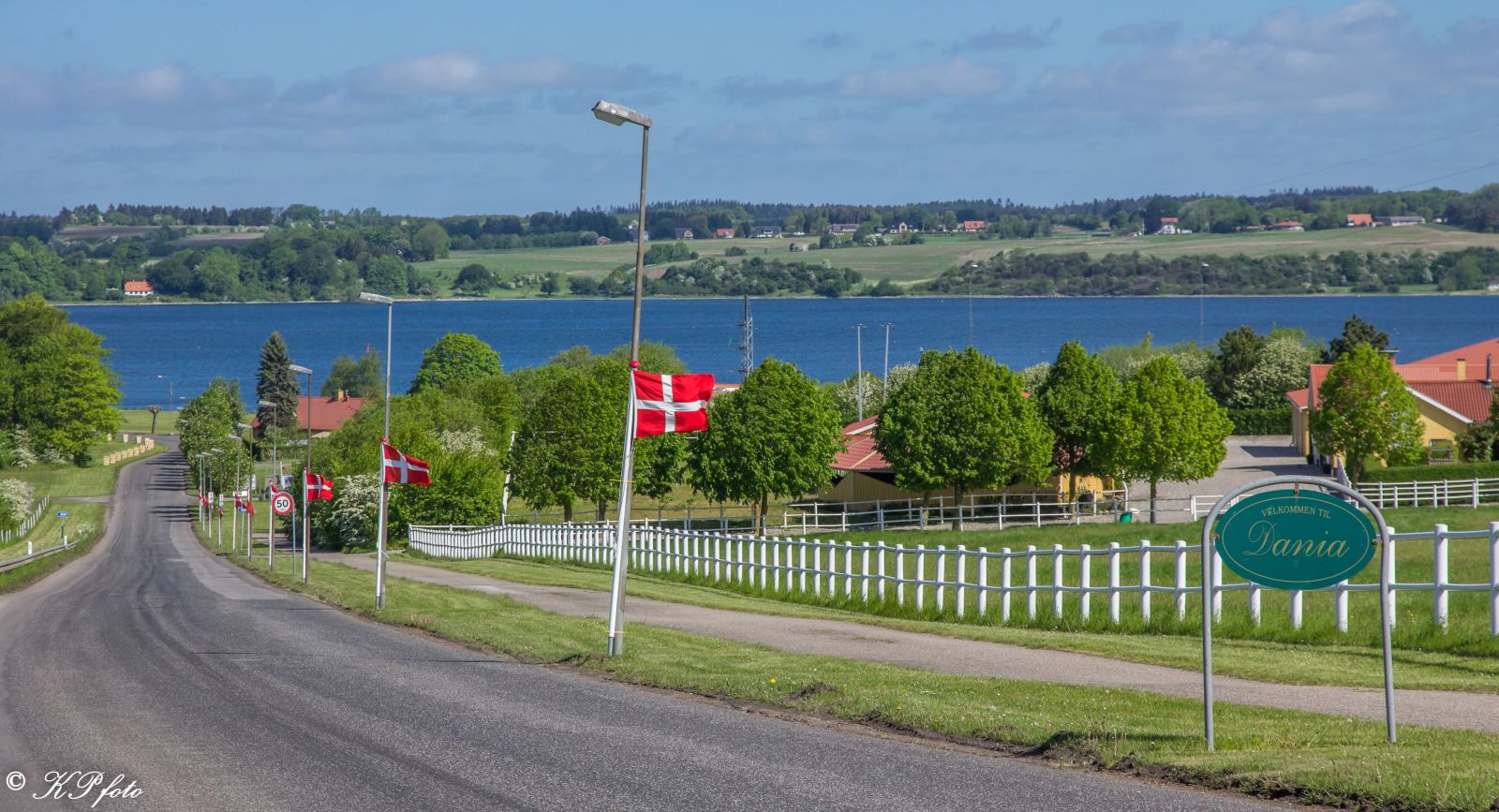 En vej fører til Mariager Fjord. Der bliver flaget med adskillige dannebrogflag langs vejen.