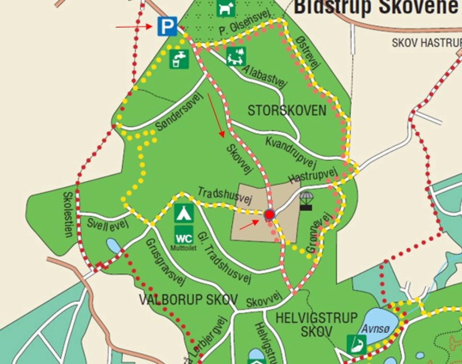 Kort over skovområde med pile der viser vej fra p-plads til udstilling