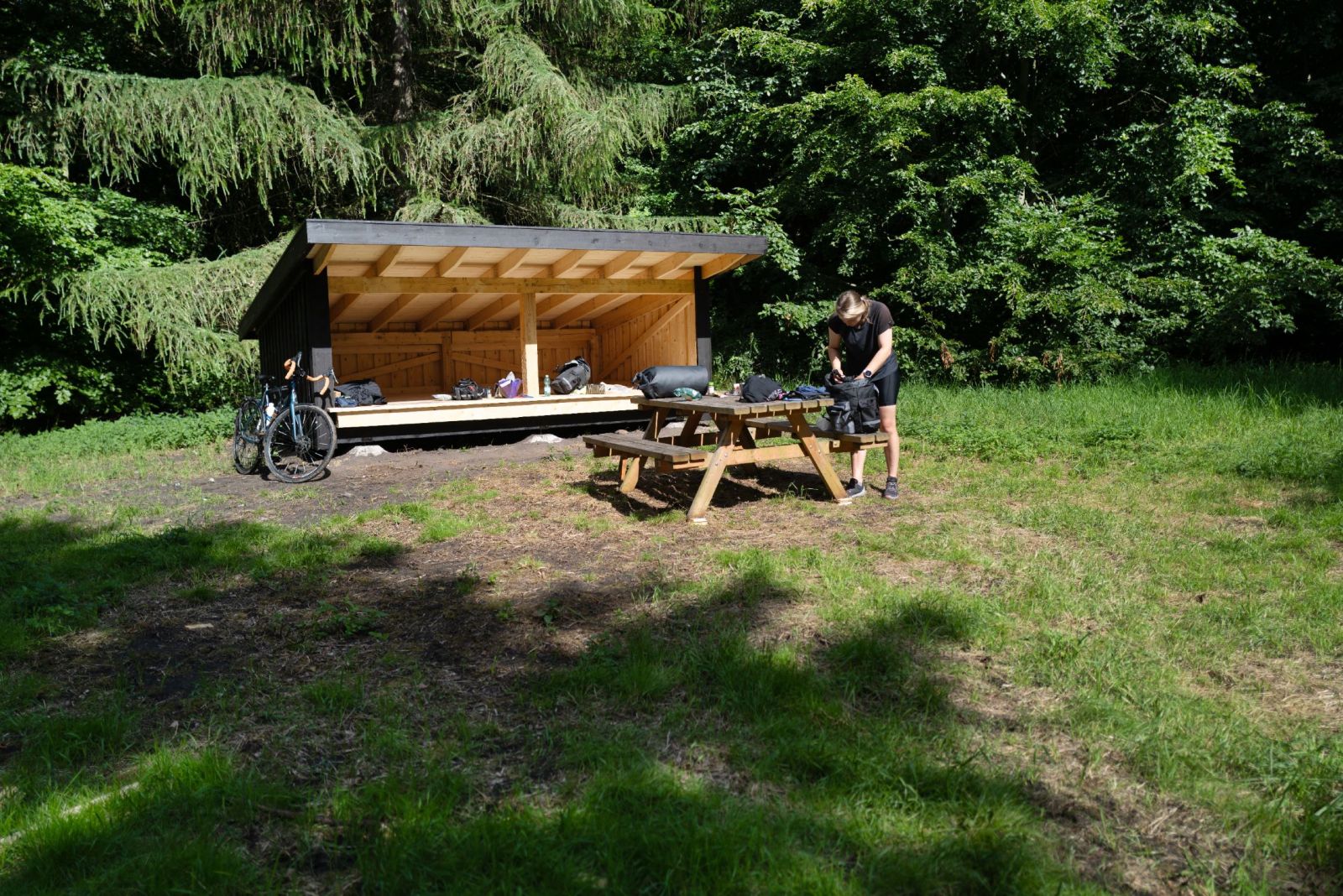 Shelter 
