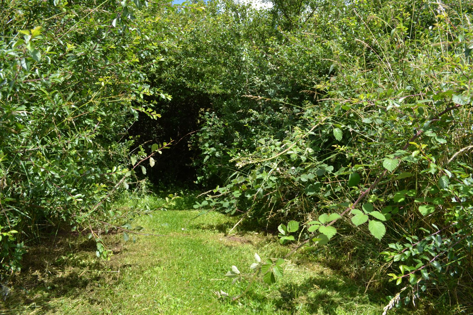 Naturområde