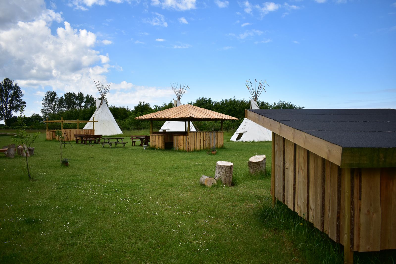 Tipi og shelters i frugtplantagen – miniature 4