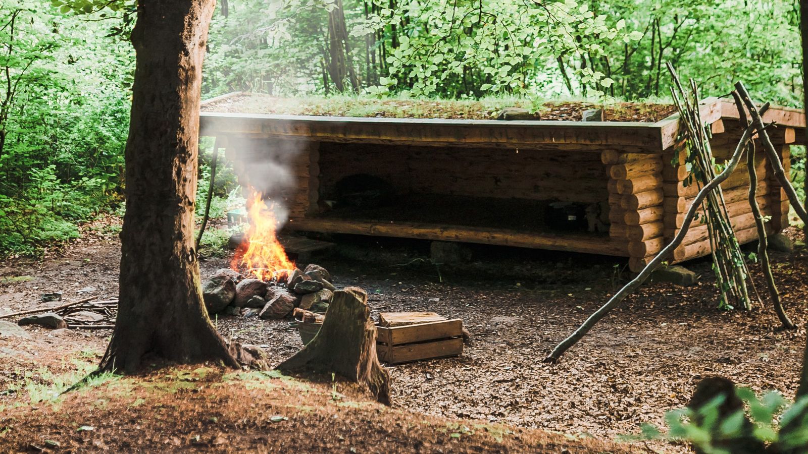 Lisbjerg gammel skov shelterplads
