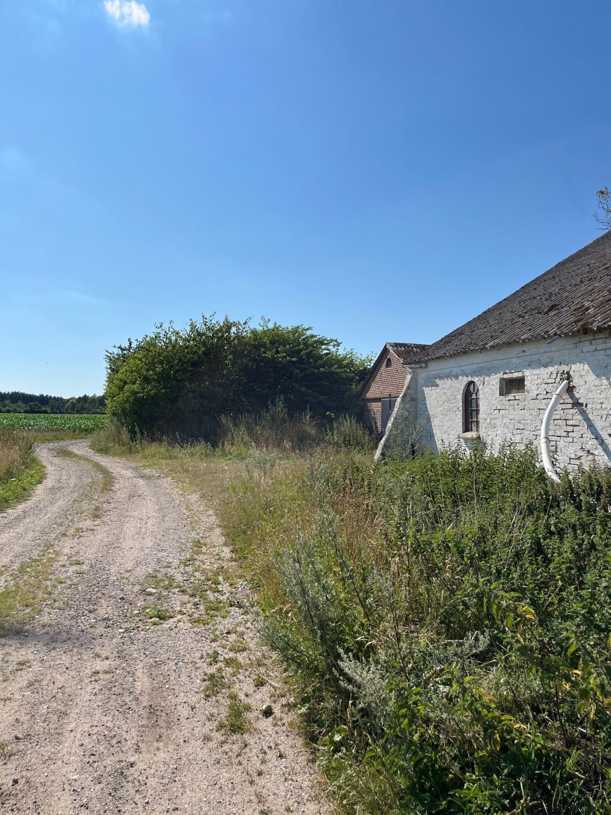 Grusvej mod Gølstrup og Sdr. Rubjerg.