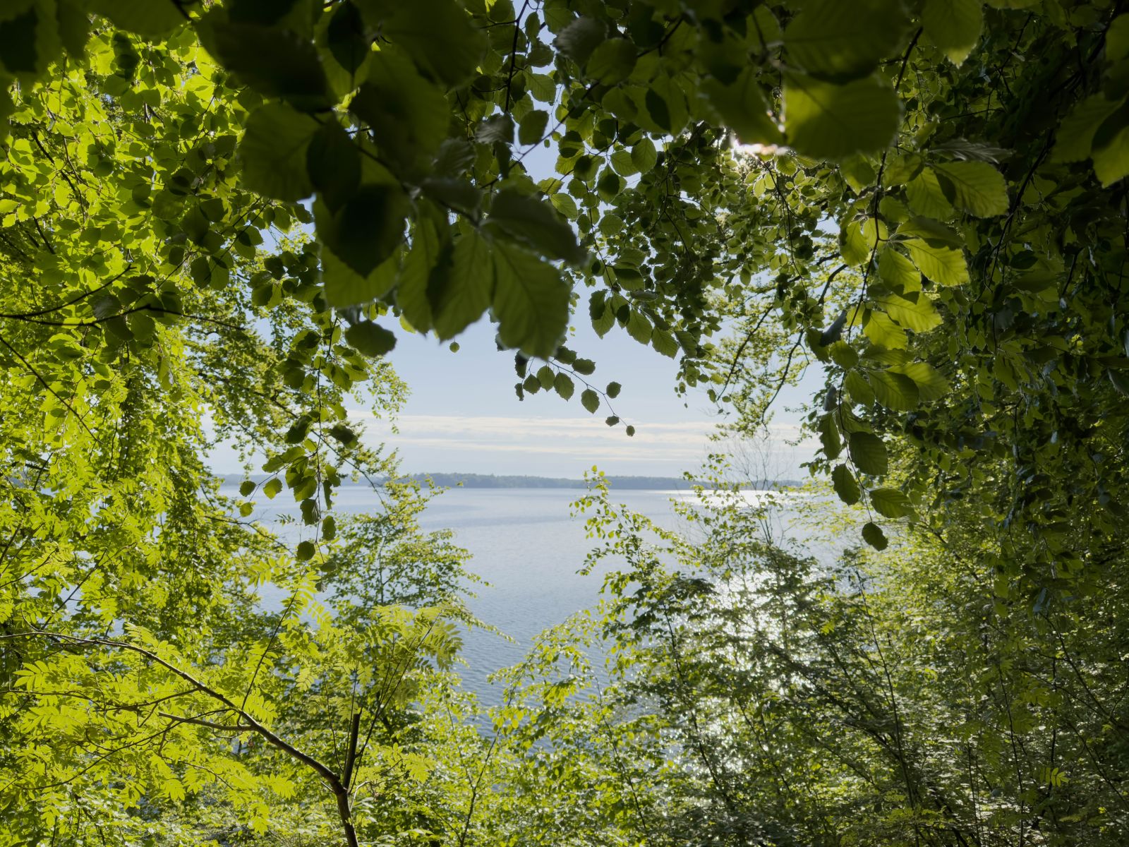 udsigt over Furesø