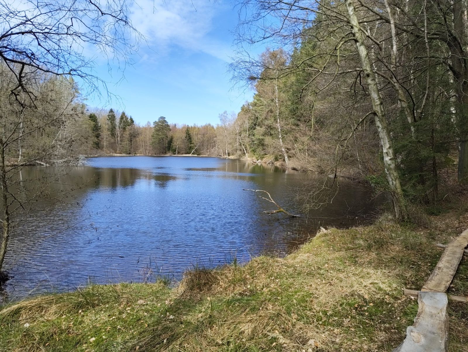 Skovsø.