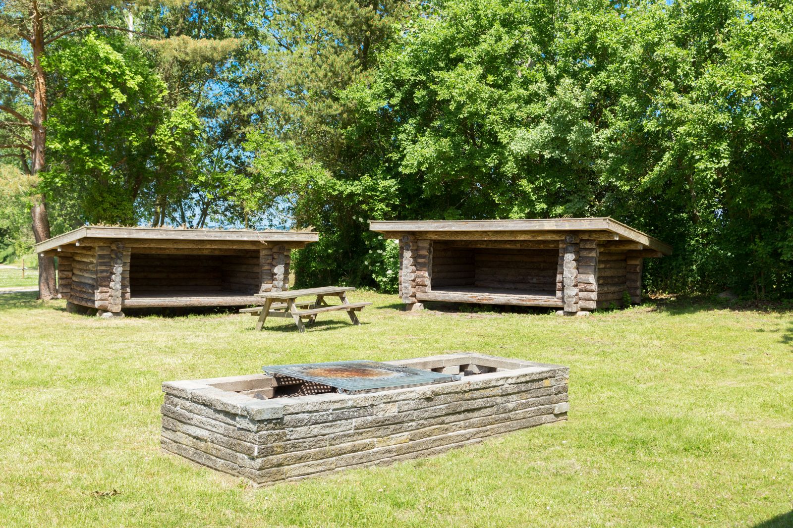 Hagested shelterplads – miniature 2