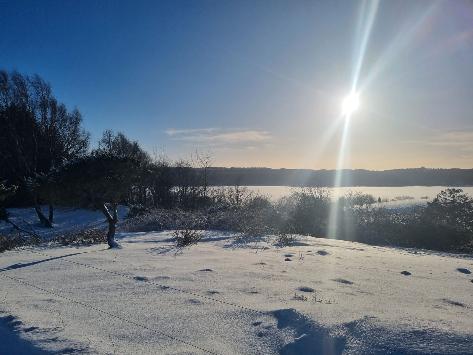 Snedækket vinterlandskab med lavthængende sol på en klar blå himmel. Udsigt over Mariager Fjord.