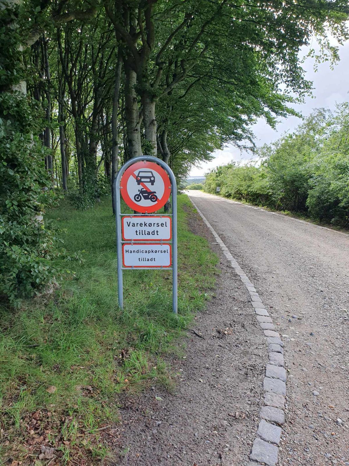 Handicapkørsel er tilladt ned til museet 