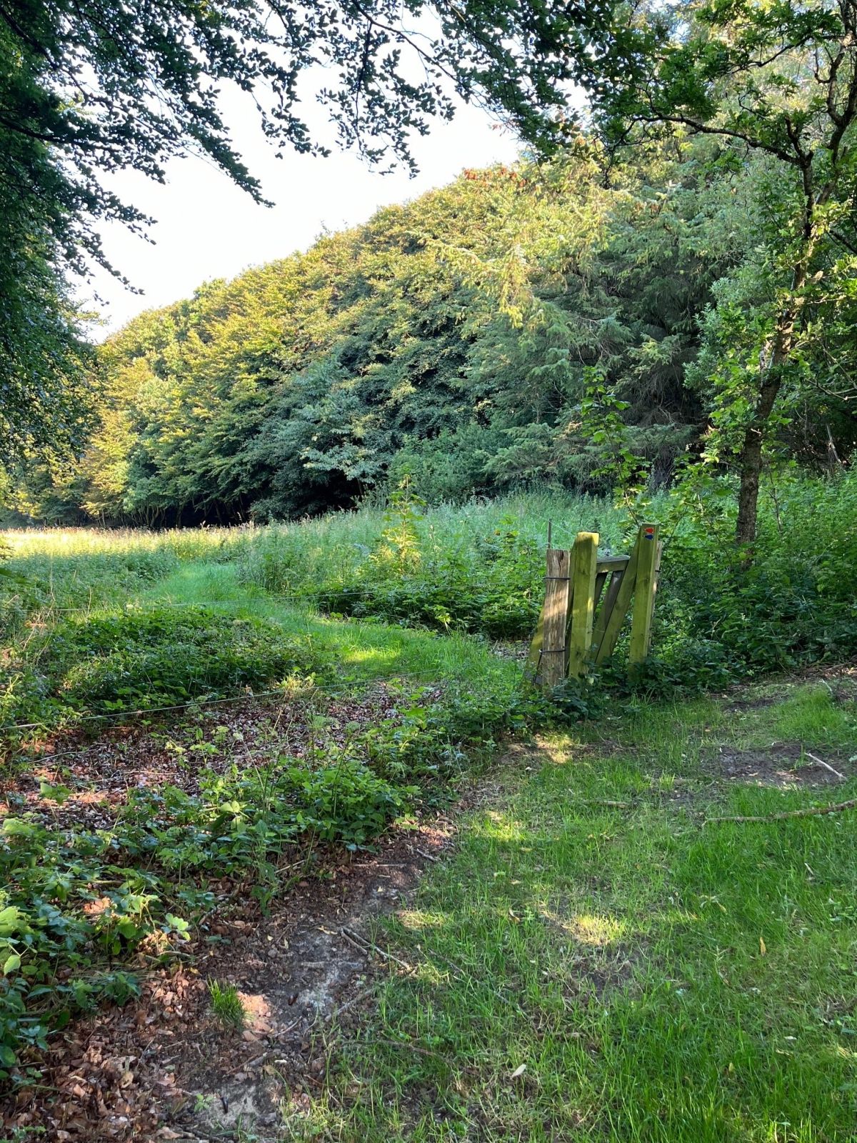 Klaplåge man skal igennem på ruten.