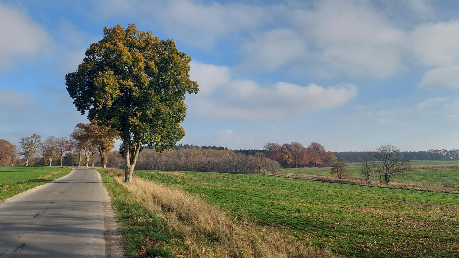 Udsigt fra Lystrupvej