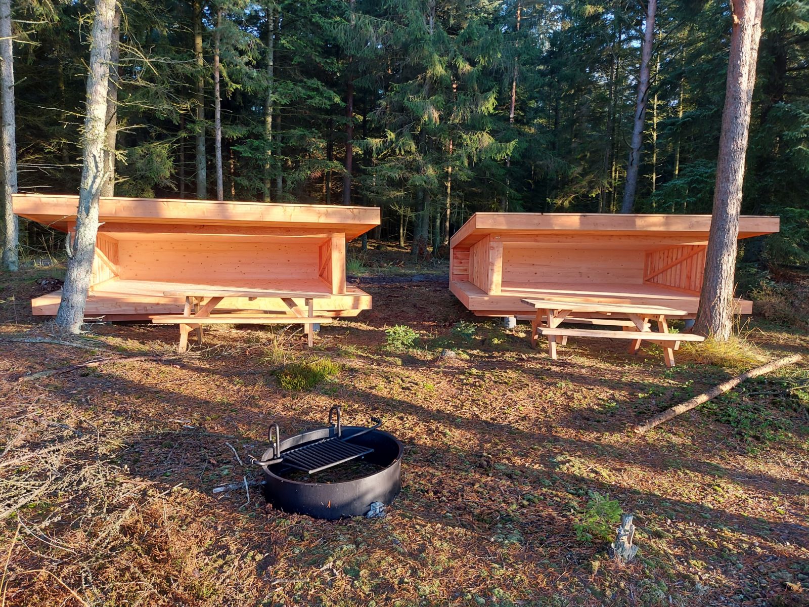 Shelterplads - Grathe Hede (shelter 1) – miniature 2