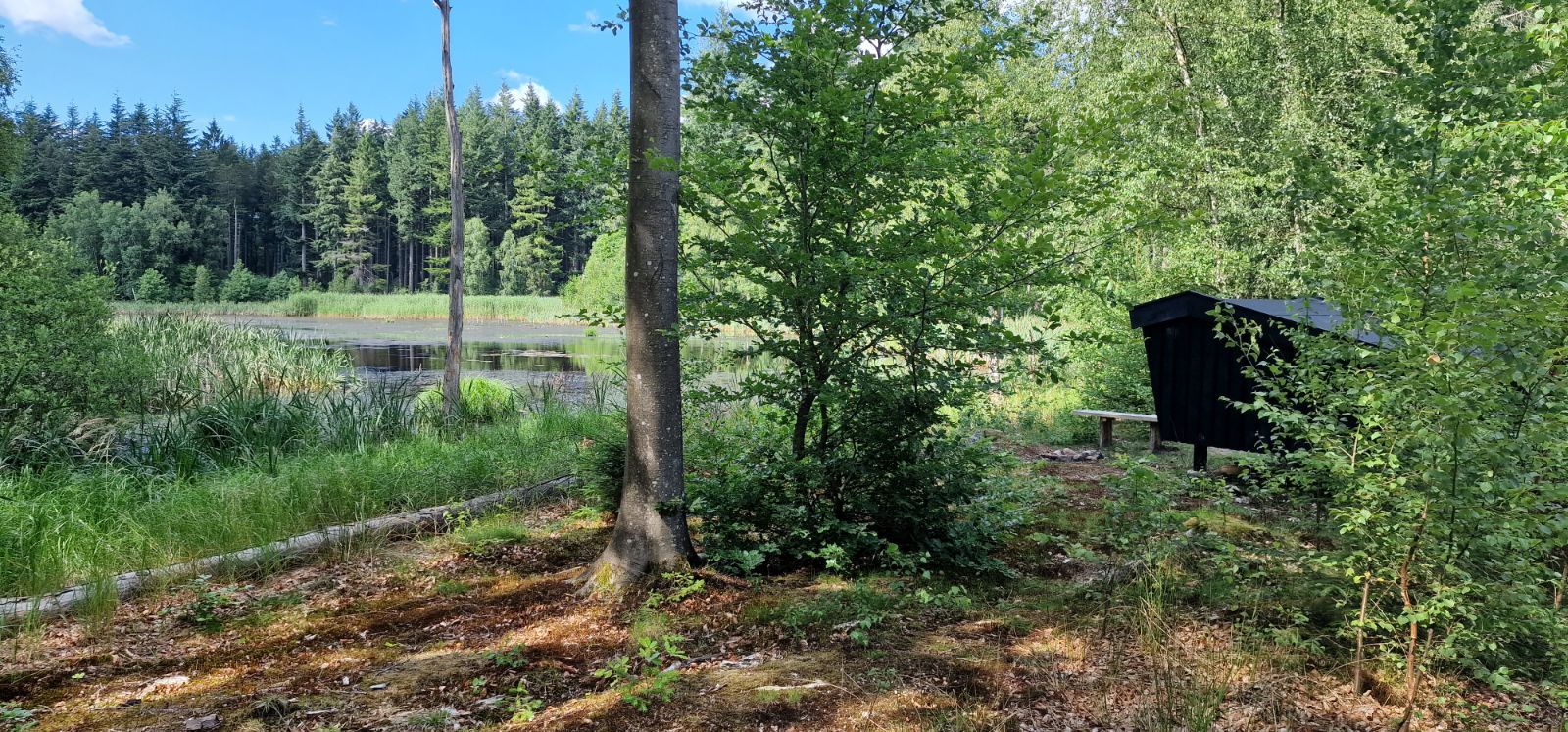 Honningsvampen shelter – miniature 1