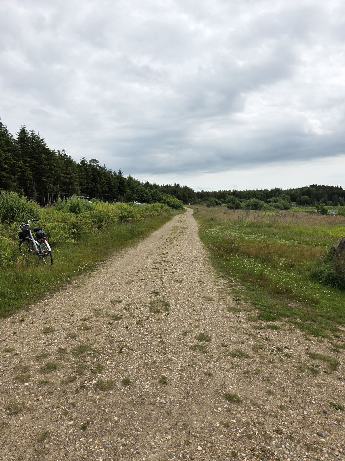 Billede af sti, der fører hen til bålhytten. Belægning er af stenmel. 