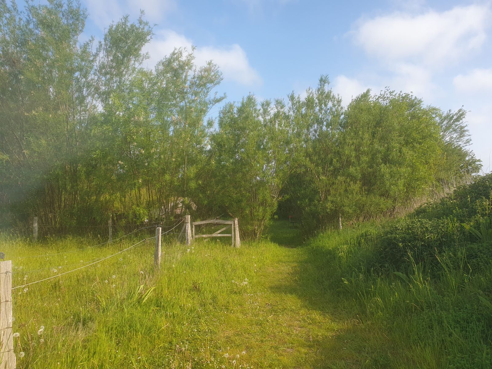 Shelters ved Åstrup – miniature 2