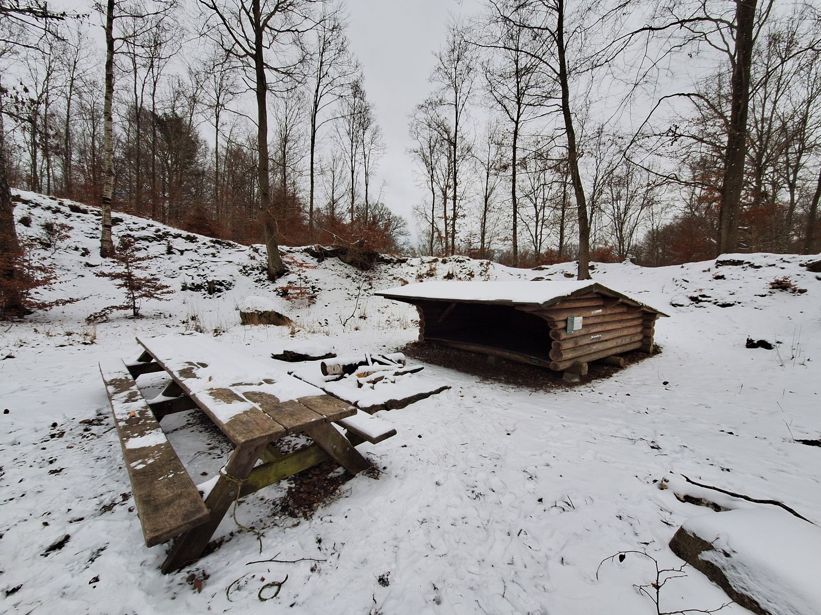 Billedet viser et bjælkeshelter omkranset af en let forhøjning i terrænet, hvorpå der vokser løvtræer. Foran shelteret er et bålsted med sten anlagt i en firkant omkring. Foran dette er et bordebænkesæt med plads til ca. 12 personer. Der ligger sne.