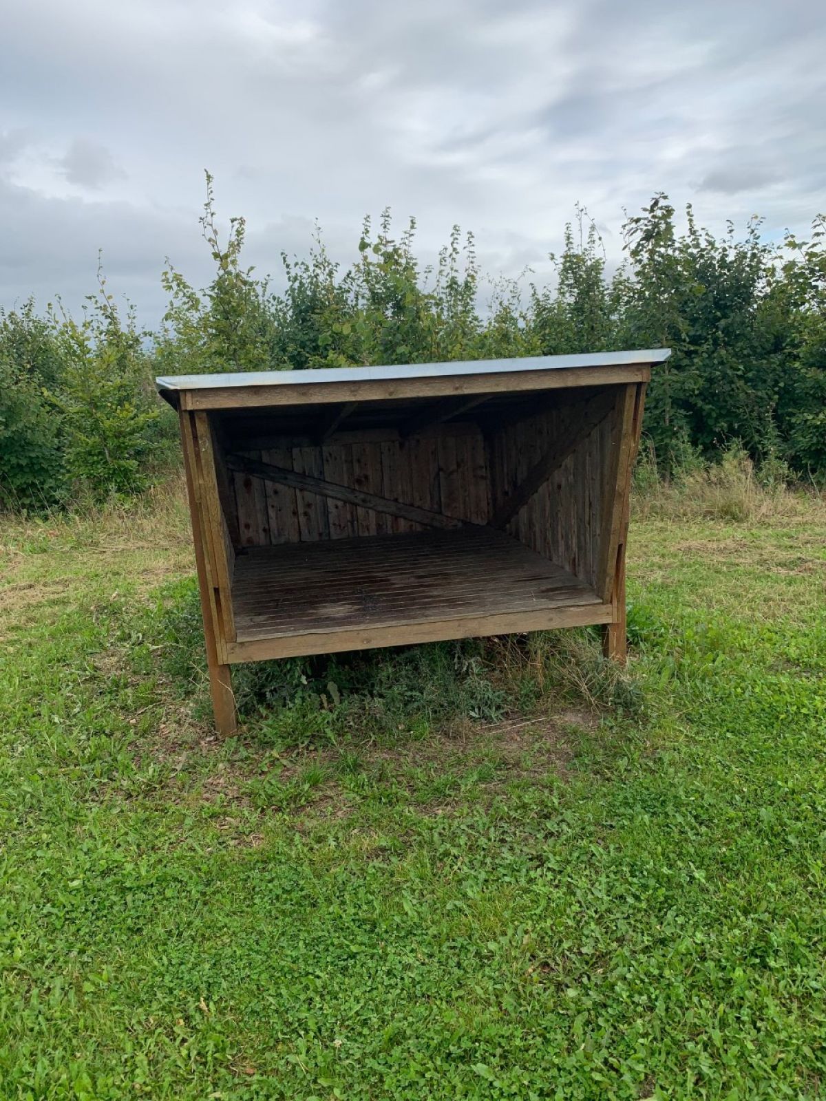 Hadbjerg Skov Shelterplads – miniature 3