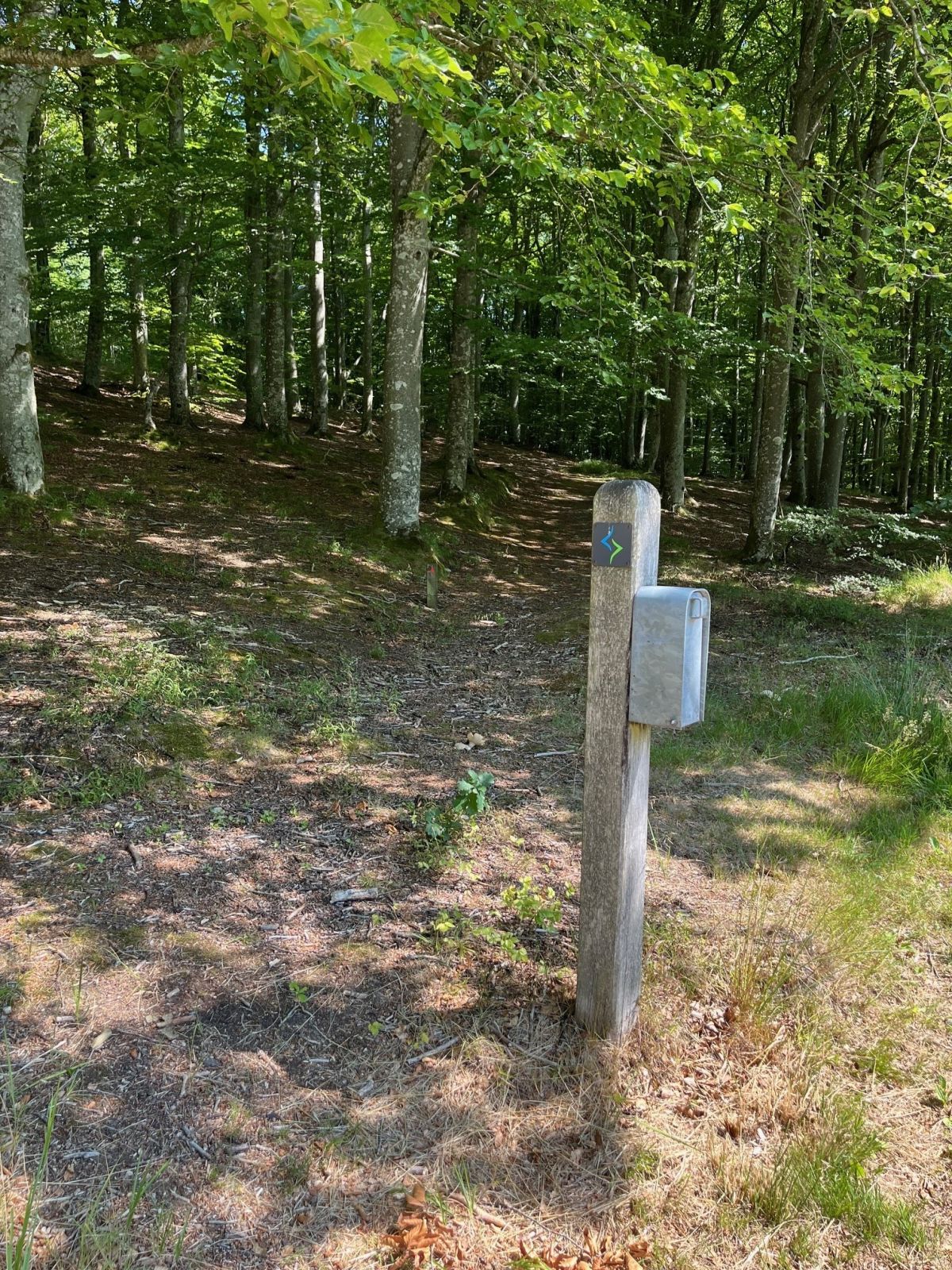 Pæl med piktogrammet nær Tolne Skovpavillon og Bakkevej. Underlag er Skovbund.