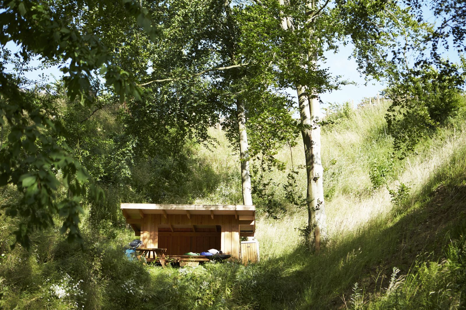 Haldbjerg Naturcampus – miniature 9