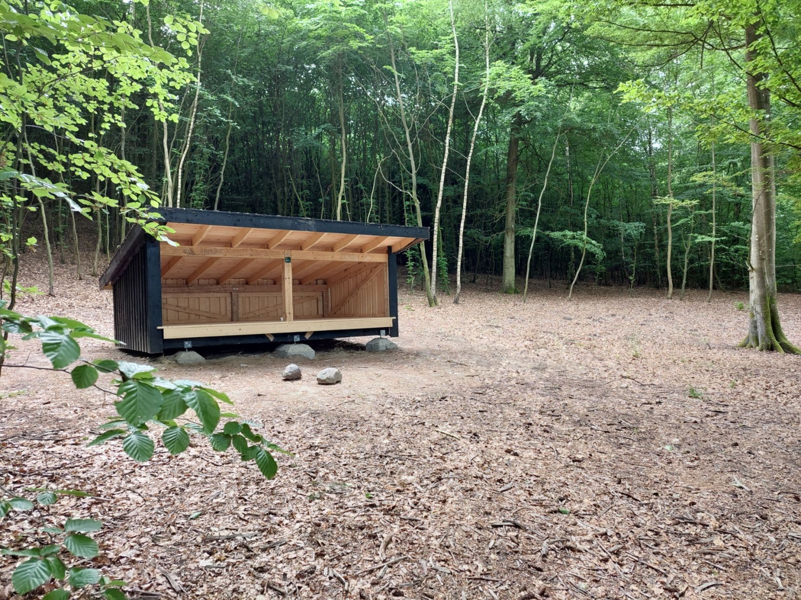Ryget Skov, shelter ved Farum sø – miniature 1