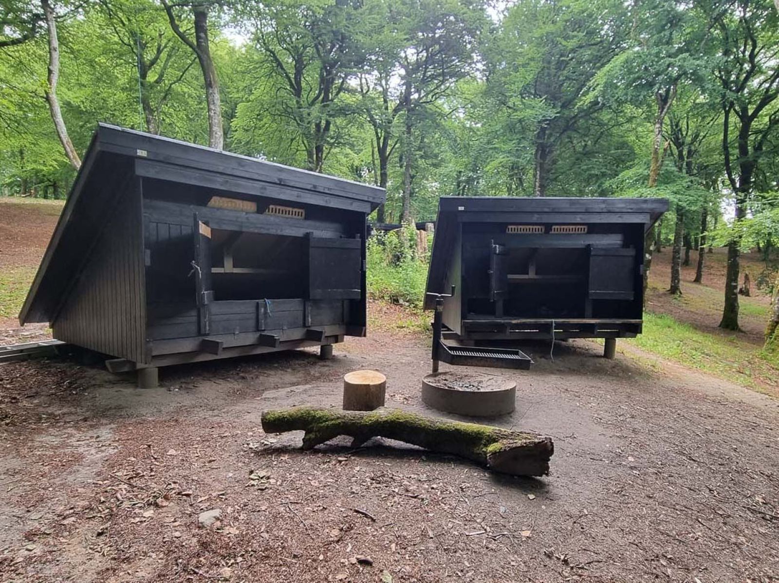 Rold Skov, shelterplads ved Mosskovpavillonen - shelter nr. 2 – miniature 1