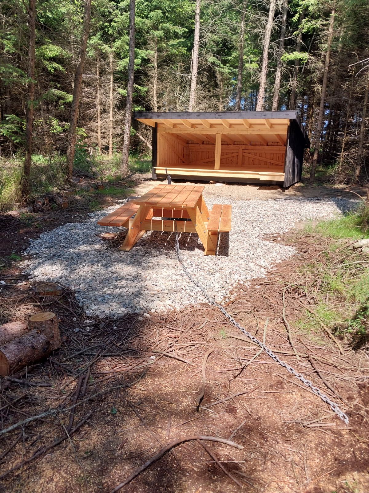 Shelter i skov med grillplads og borde-bænkesæt foran