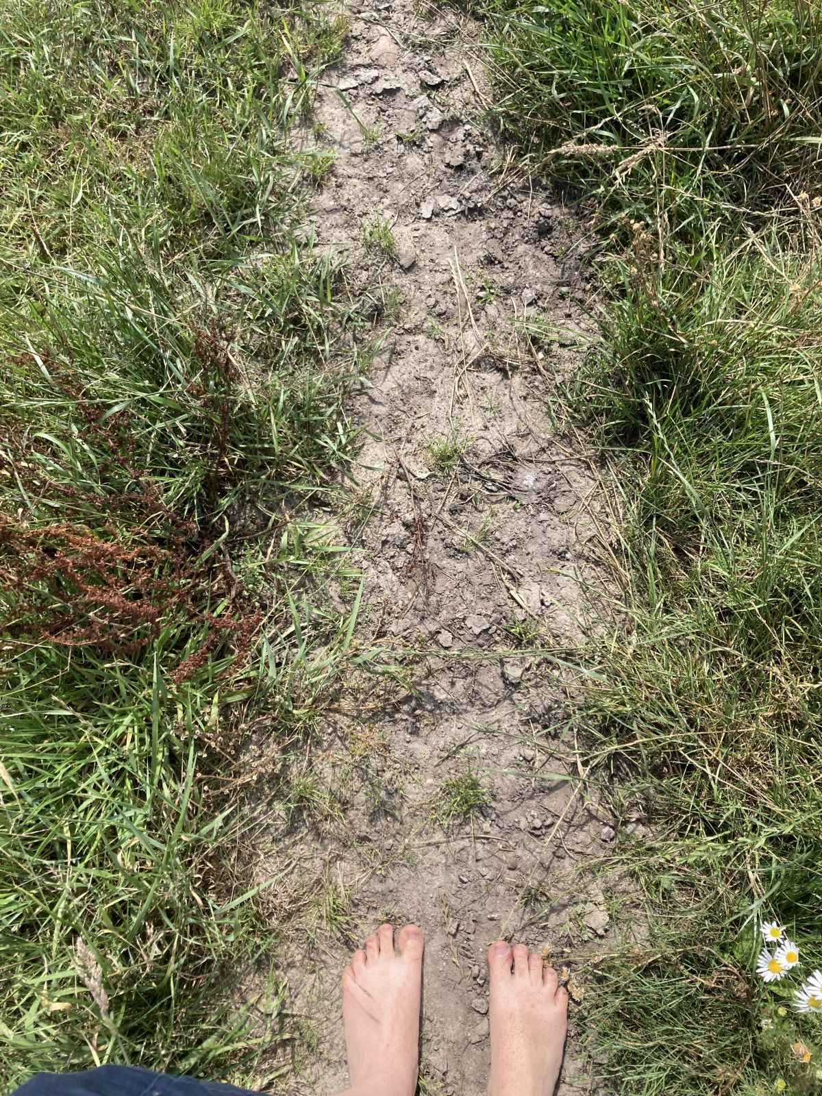 Et par bare fødder ses nederst i billedet, som står på en sandet smal sti omgivet af græs