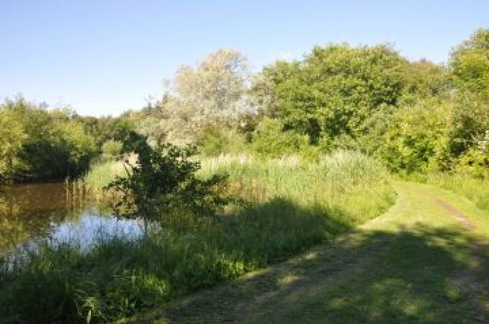 Folkeparken som er et skønt rekreativt område med naturstier. 