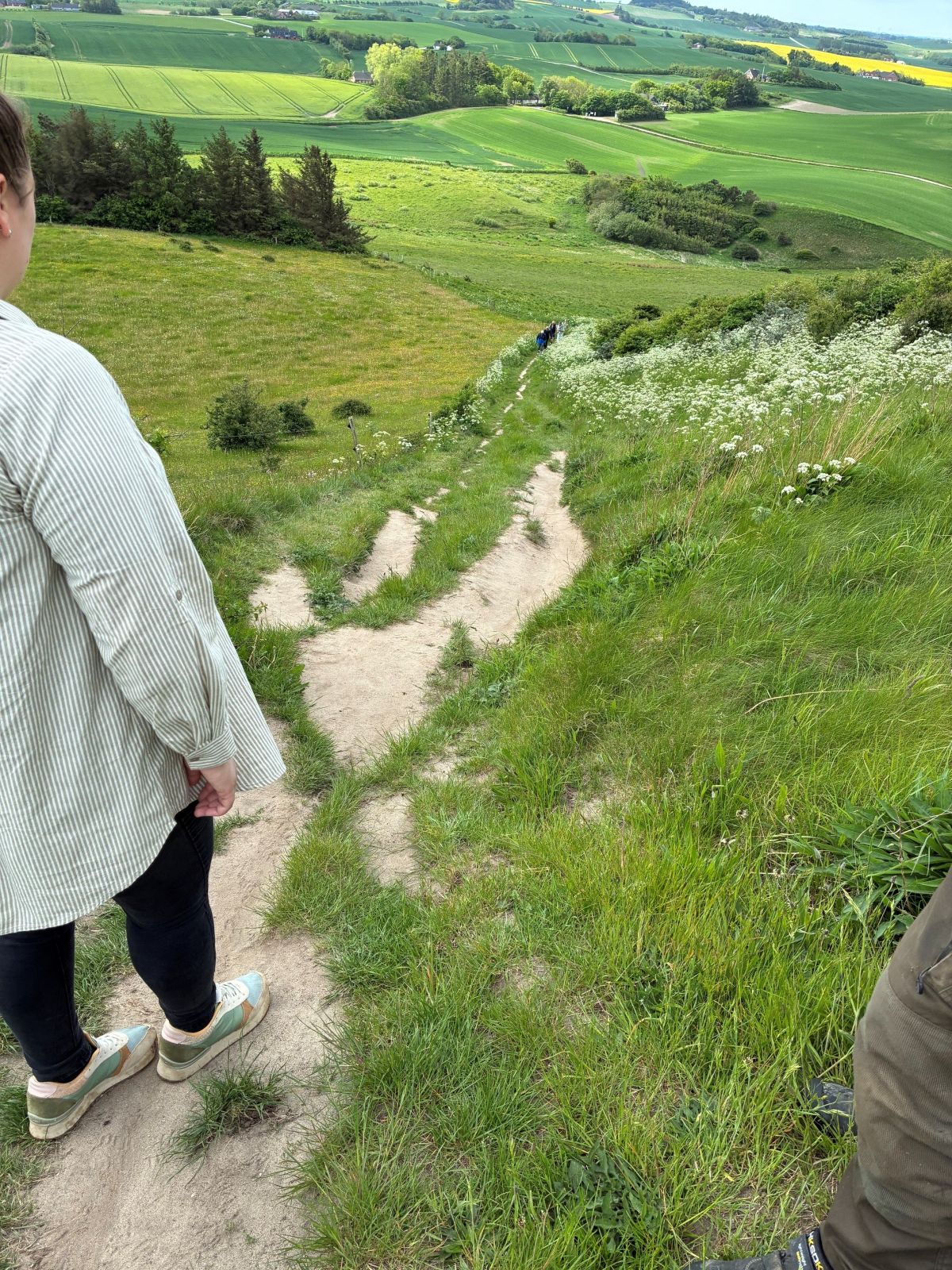Der er passager på trampstien op ad Hanklit, som er meget stejle og glatte i vådt vejr.