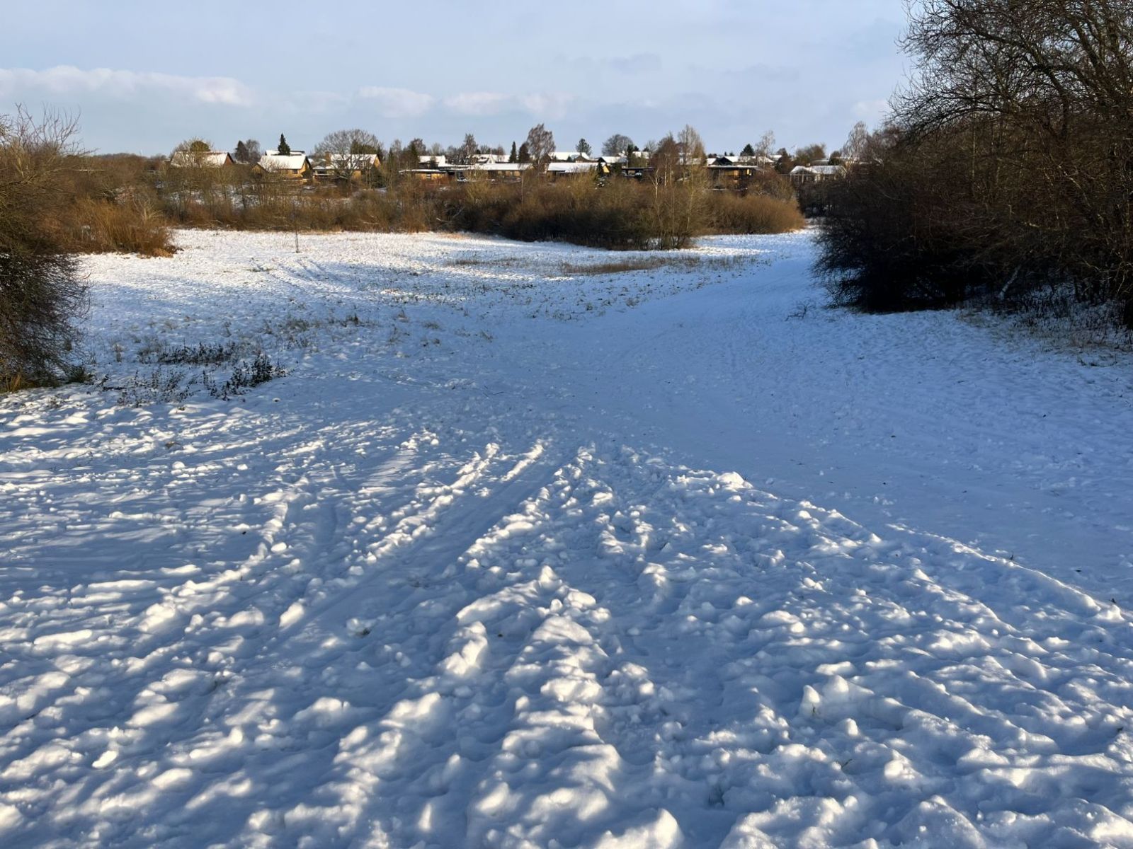 Billede af kælkebakke i Rytterkildedalen med sne