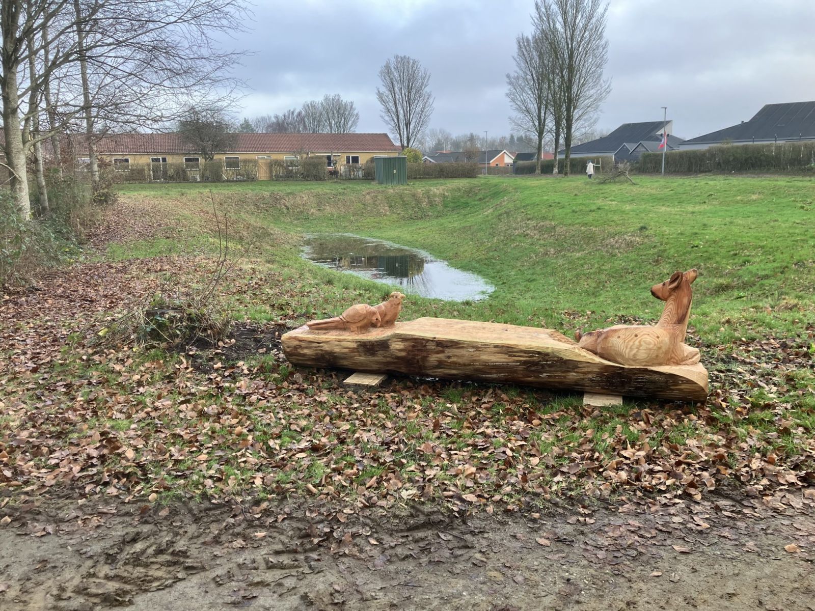 Foto af grønt område og bænk