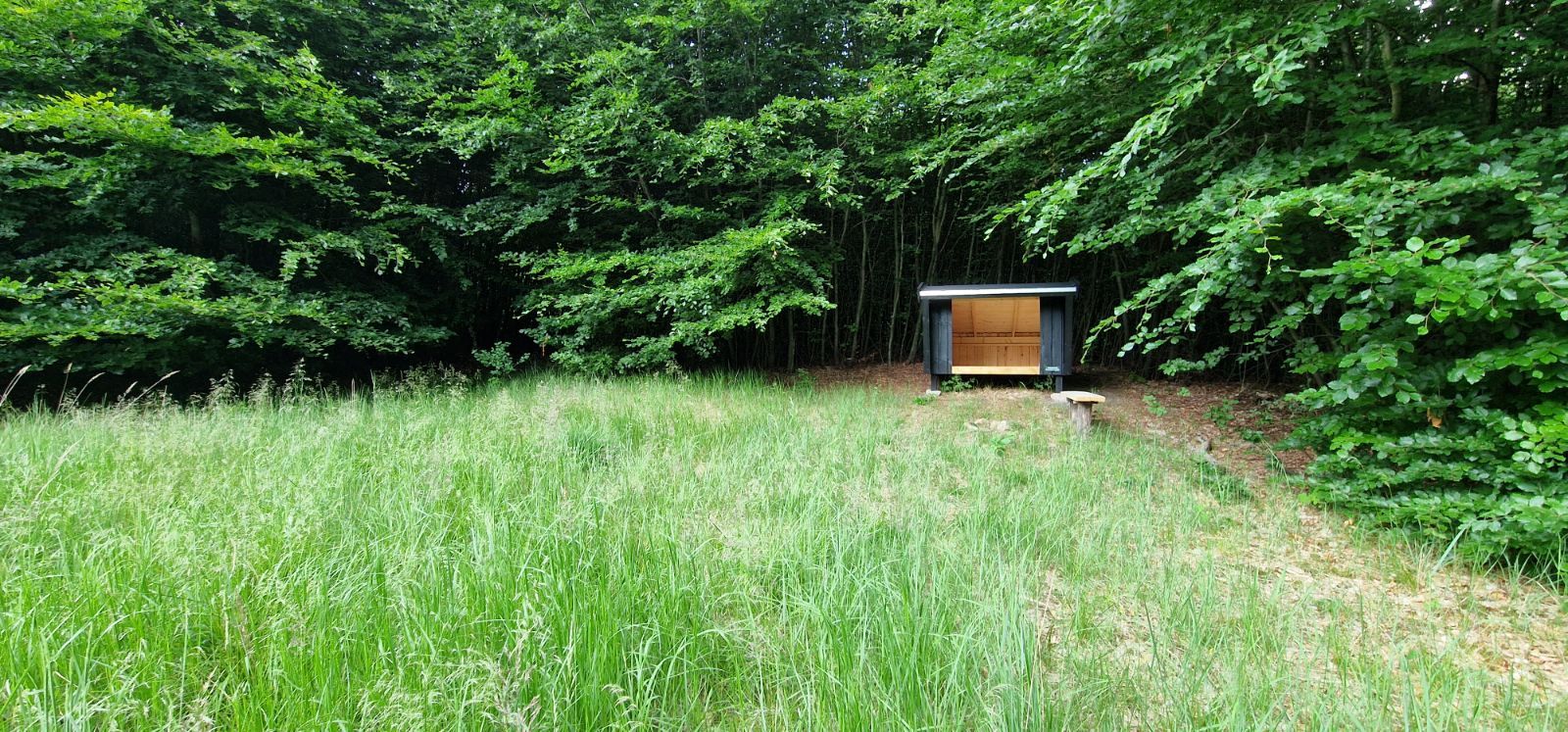 Fluesnapperen shelter – miniature 1
