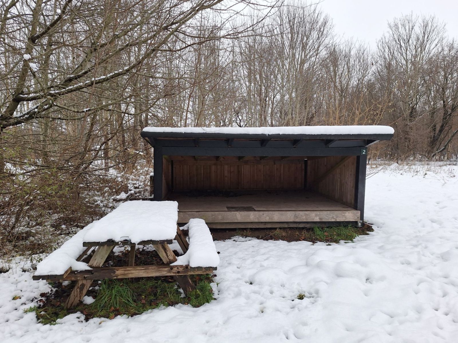 Lejrplads Randers Nørreskov  - shelter nr. 2 (ikke bookbar)              – miniature 2