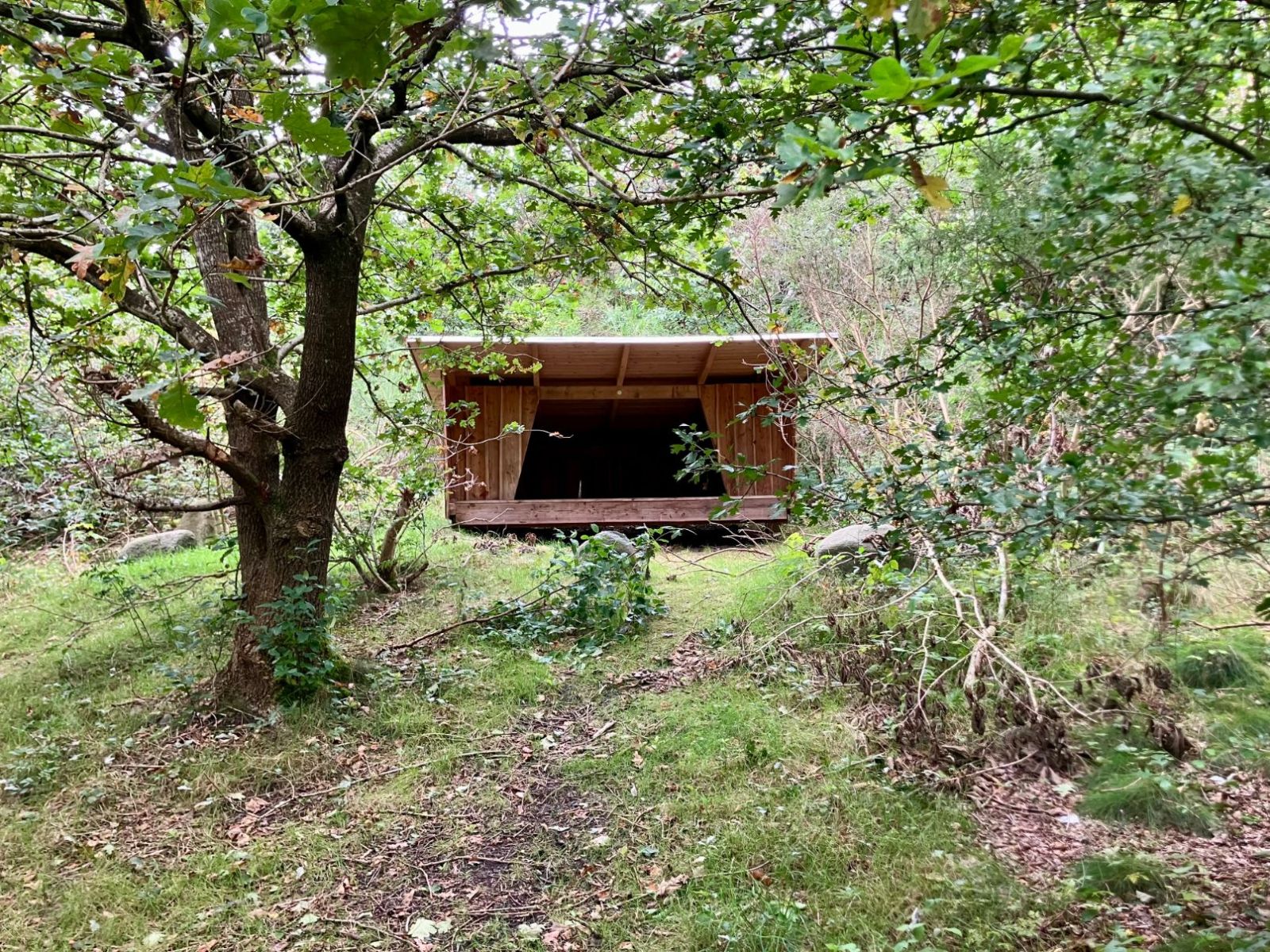 Shelter ved Salling Natursti – miniature 5