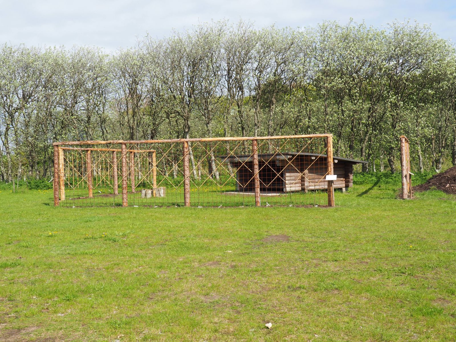 Shelter i pometet Rødding, Skive – miniature 6
