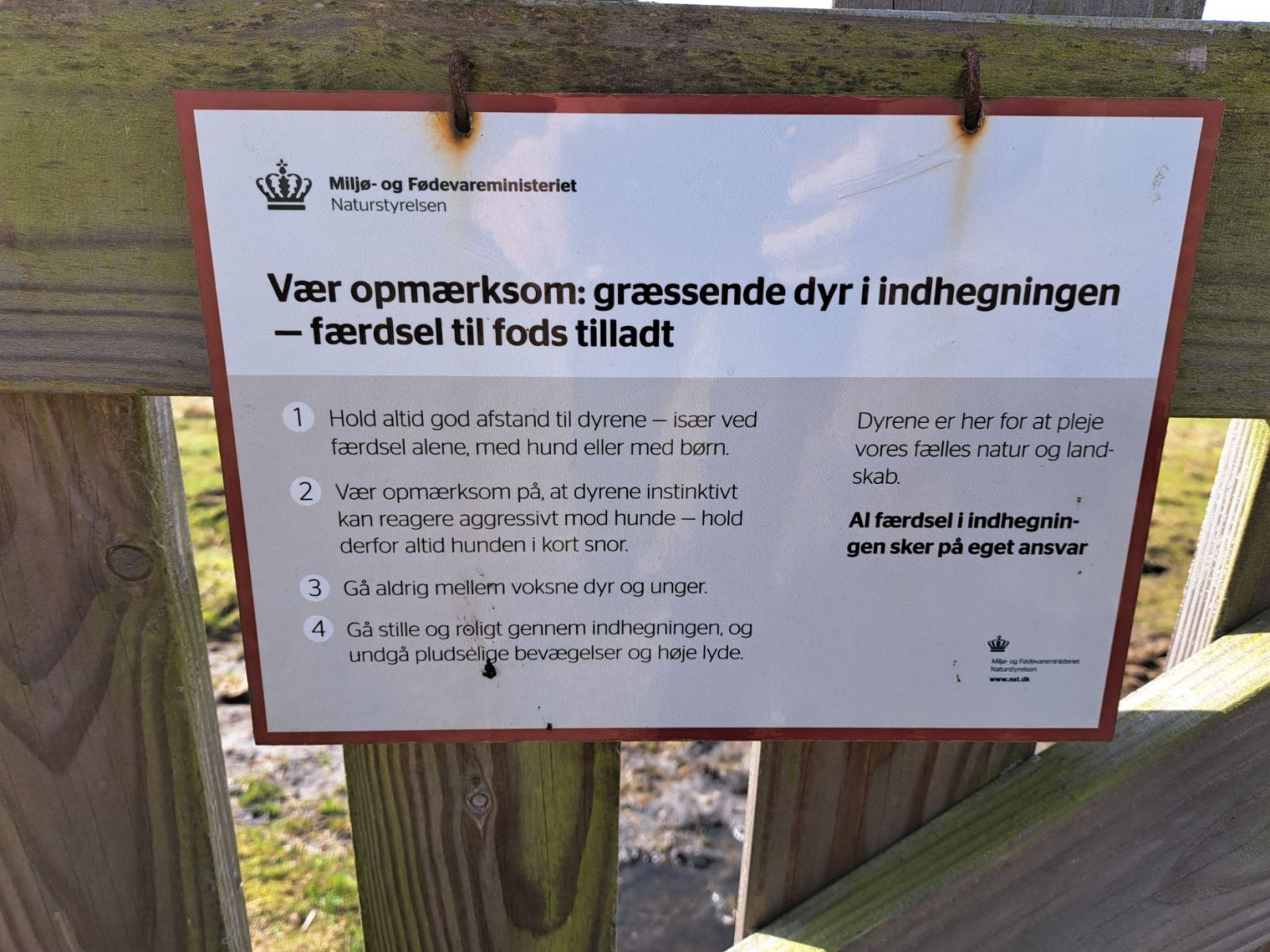 Adgang i indhegningen på eget ansvar.