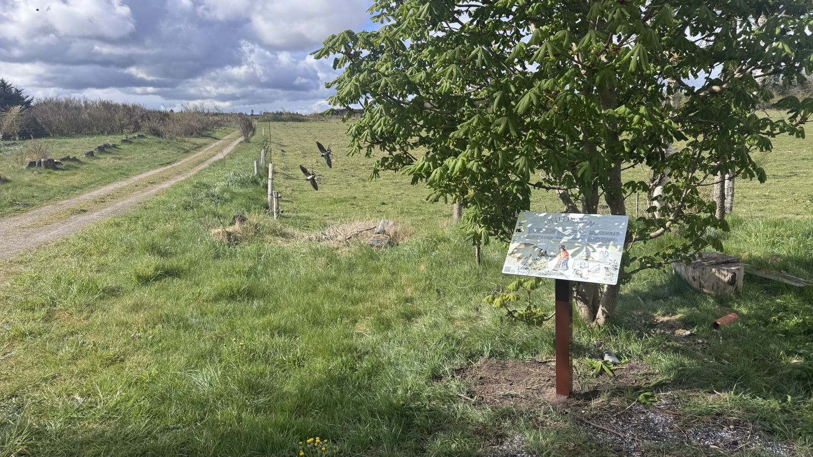 Grusvej med skilt fra Lystbækgaard til Det Gule Hus