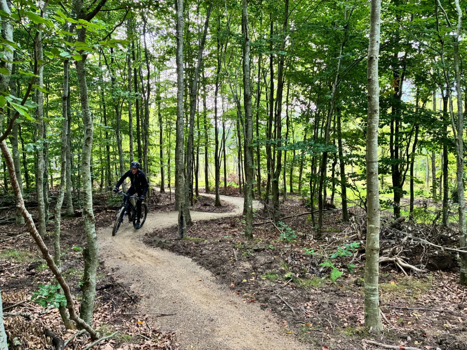 Mountainbike, der kører på ensartet underlag gennem skoven