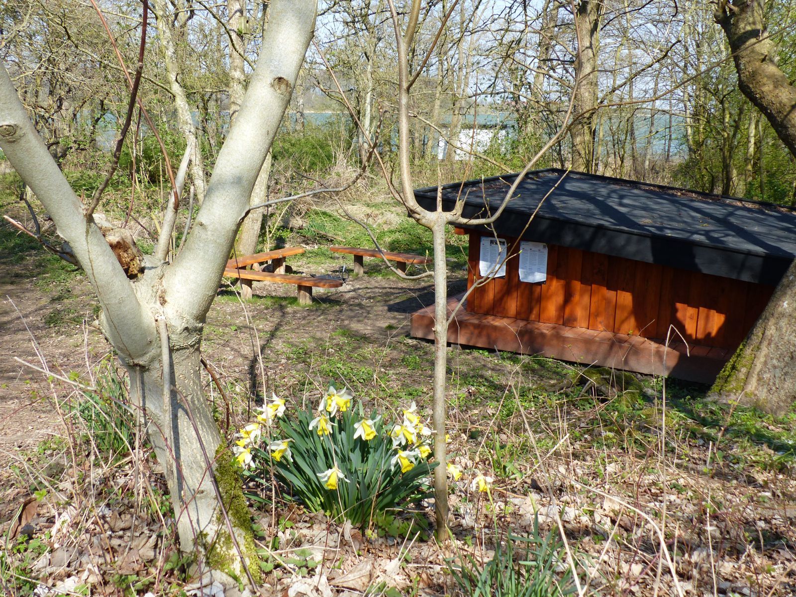 Naturskolen – miniature 1